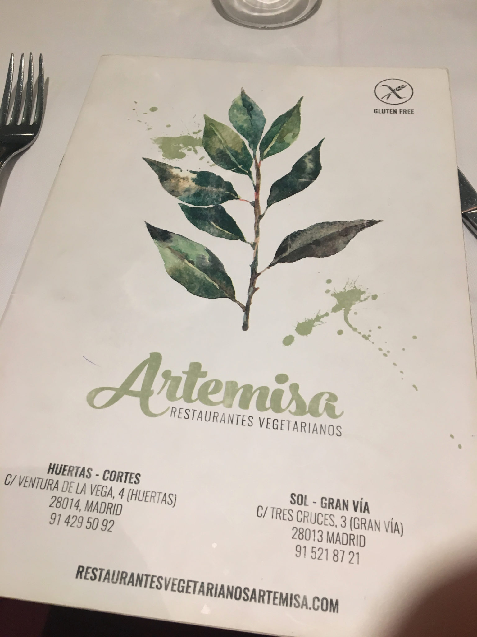Artemisa Madrid 