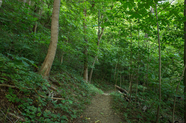 Things to Do Outdoors in Morgantown, West Virginia