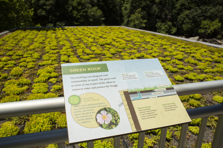 Top Things to Do on a Day Trip to Ohiopyle Pennsylvania Everywhere