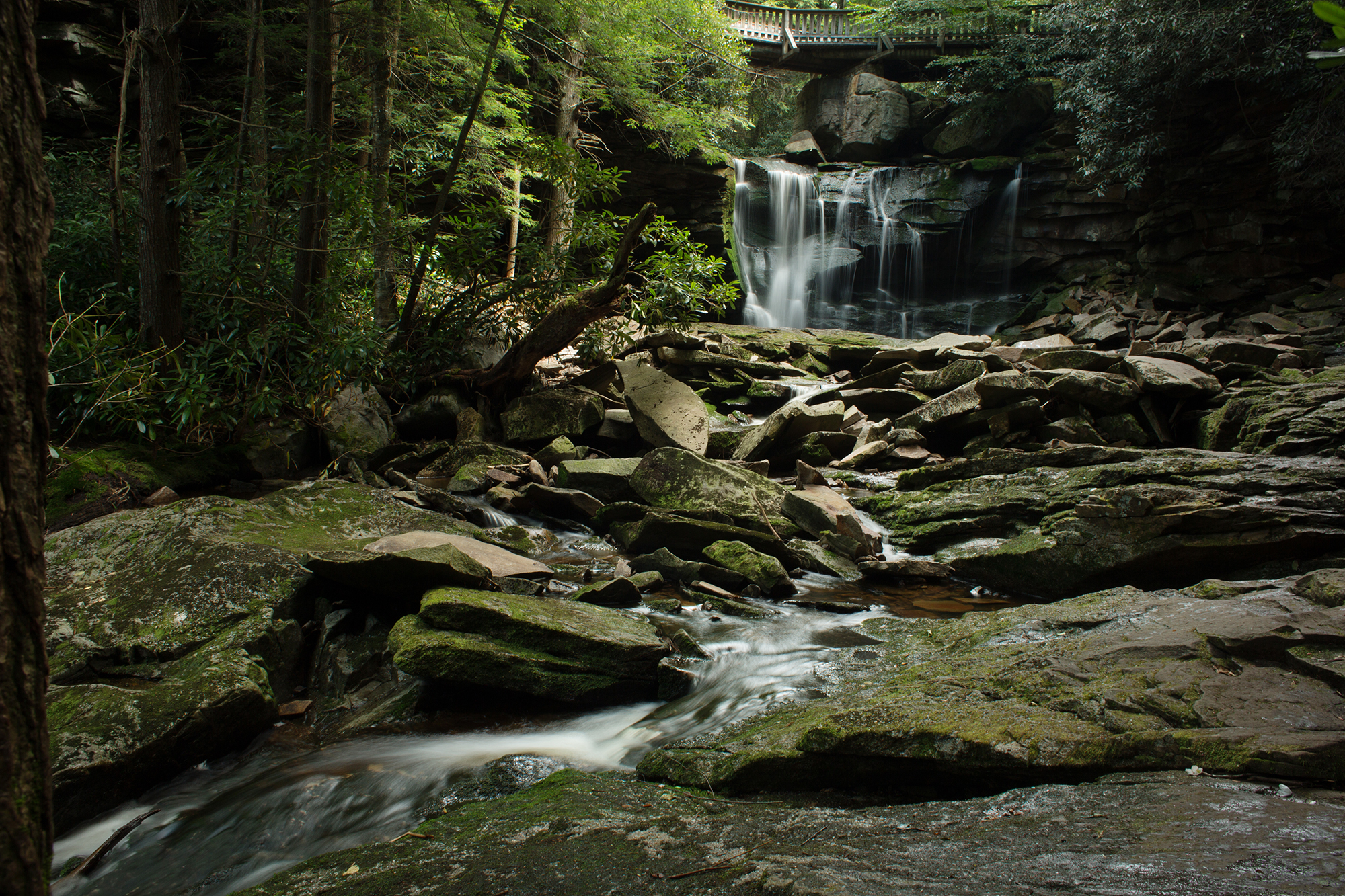 Elakala Falls Blackwater Falls State Park West Virginia 