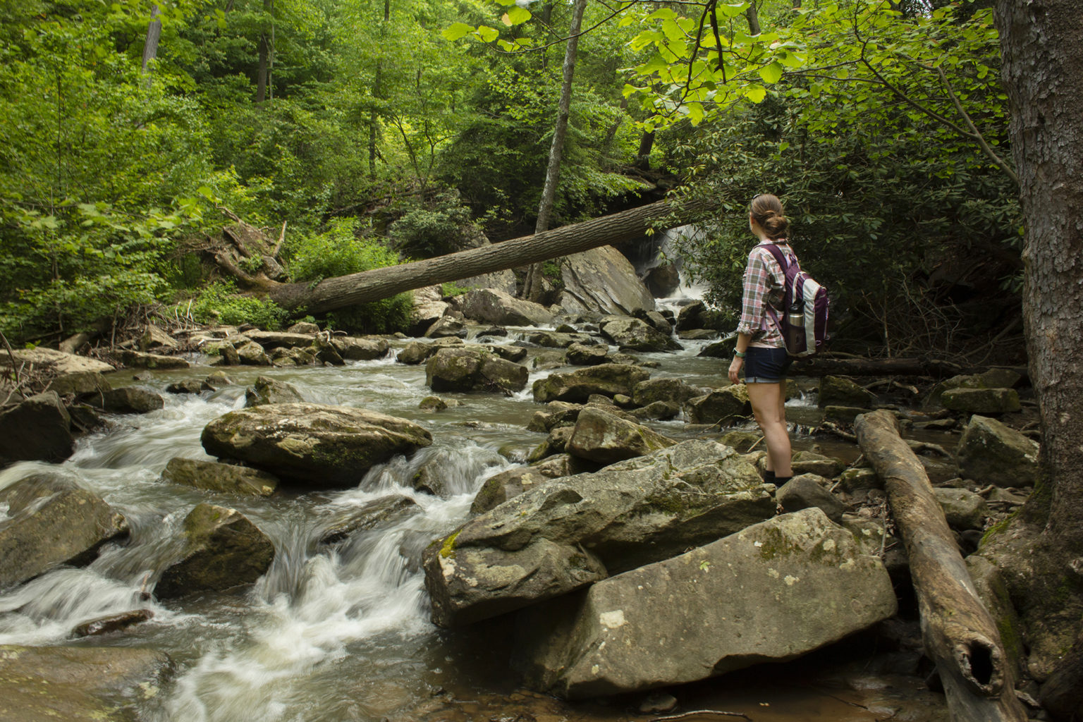 The Perfect Day Trip to Valley Falls State Park West Virginia