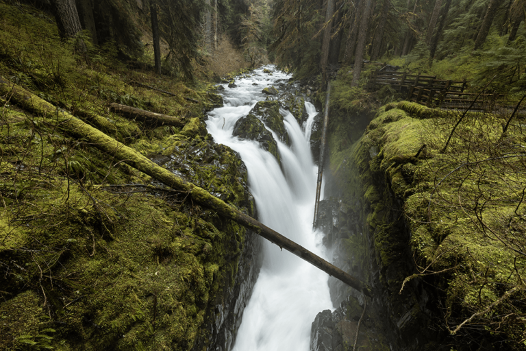 Hiking to the Beautiful Sol Duc Falls at Olympic National Park